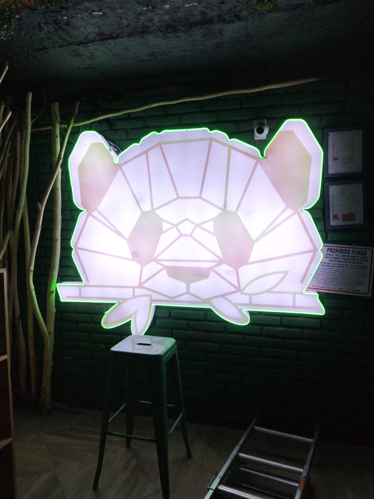 Logotipo luminoso blanco con contorno verde instalado sobre un muro oscuro